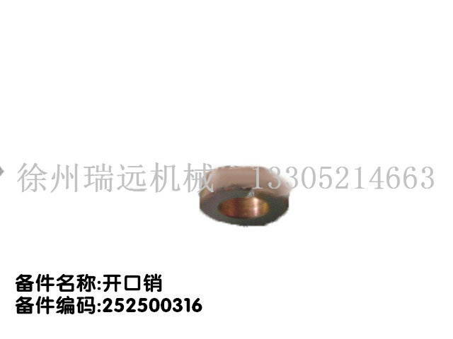 _N 252500316